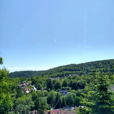 Ferienwohung Stelldichein شقة